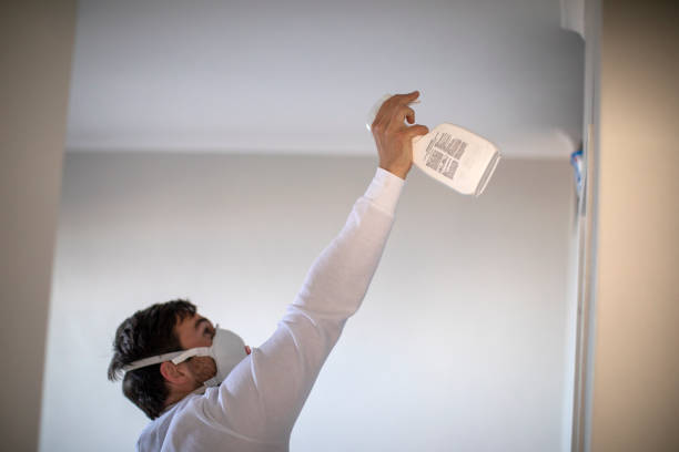 Best Office Mold Removal Services  in Lake Pocotopaug, CT
