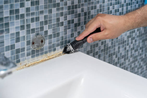 Home Mold Removal in Lake Pocotopaug, CT